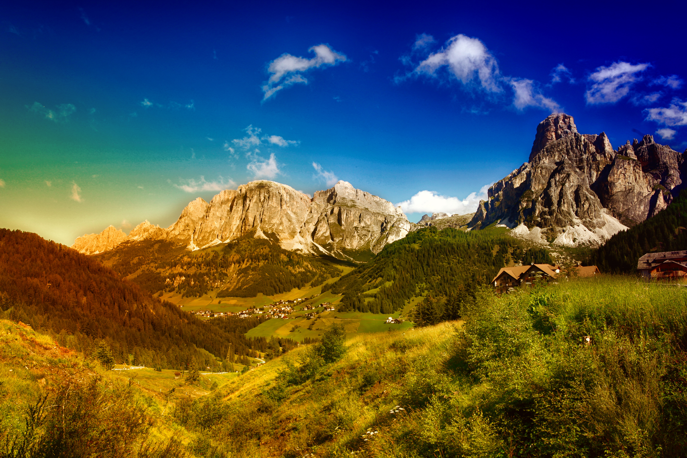 Badia[1].webp